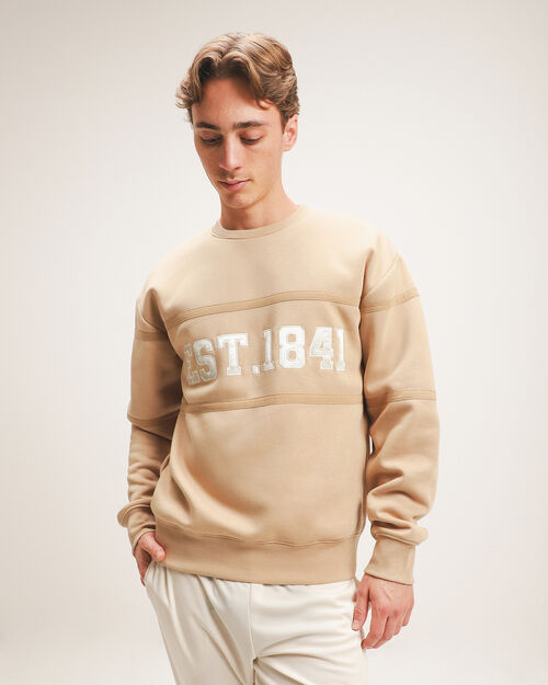Sudadera Beige Fit Regular