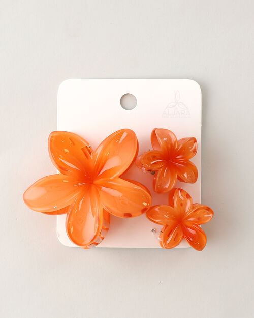 Set De Pinzas Para Cabello