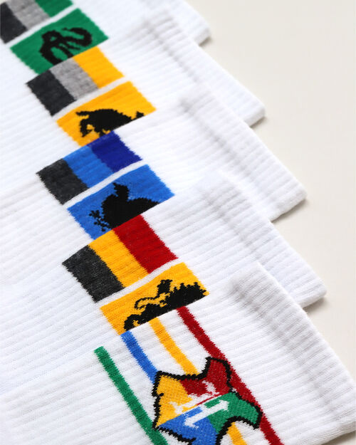 Paquete Calcetines Harry Potter