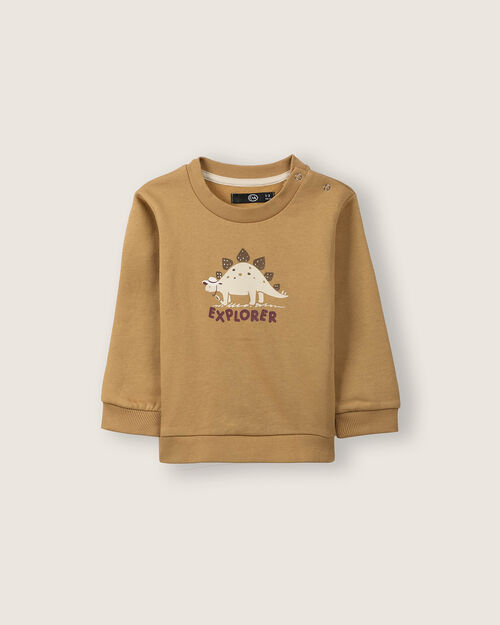 Sudadera Café Diseño Dinosaurio