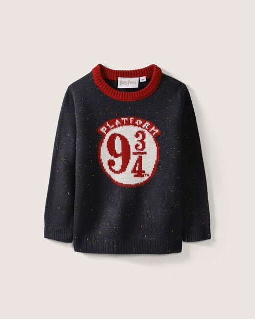 Suéter Harry Potter