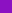 , PURPURA, swatch