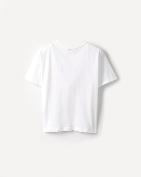 Playera Flavors Summer