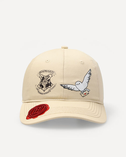 Gorra Harry Potter