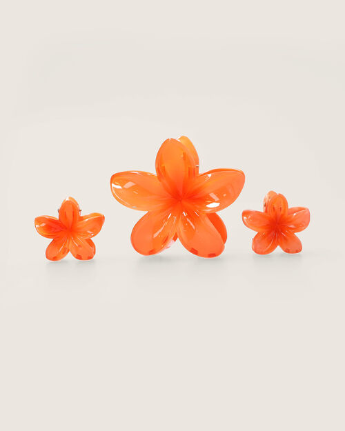 Set De Pinzas Para Cabello