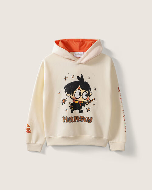 Sudadera Hoodie Harry Potter