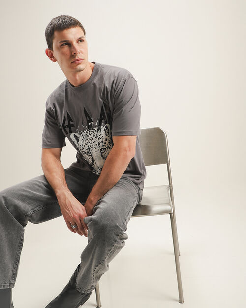 Playera Gris Def Leppard