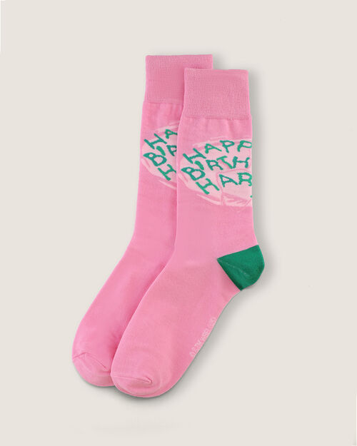Calcetines Harry Potter