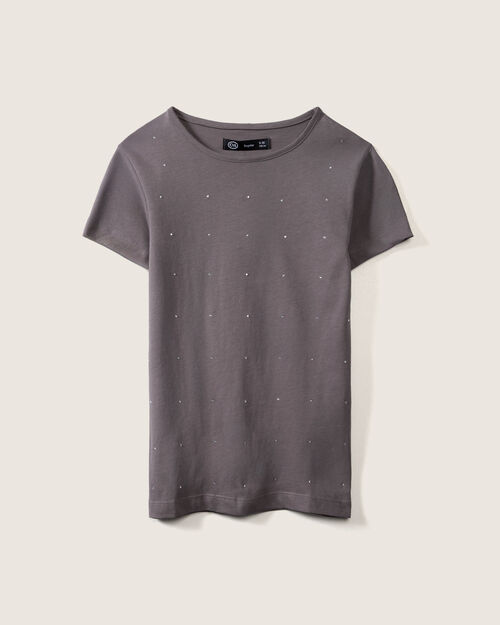 Playera Gris Aplicaciones
