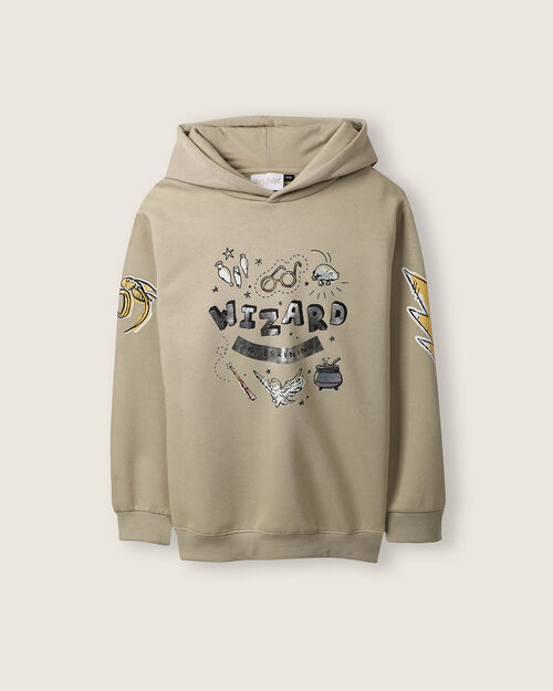 Sudadera Harry Potter