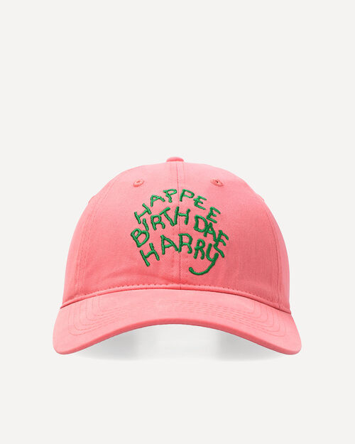 Gorra Dise&ntilde;o Harry Potter