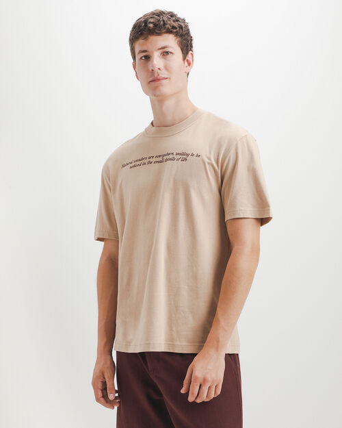Playera Relaxed Arena