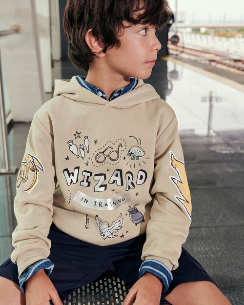 Sudadera Harry Potter