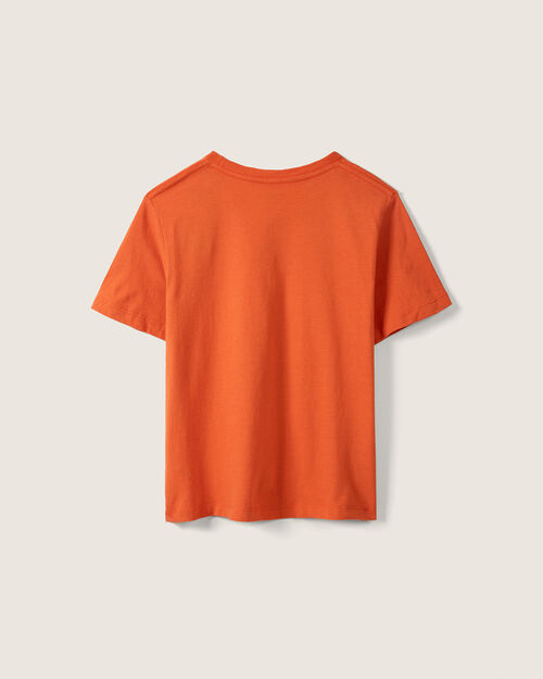 Playera Diseño Calabaza