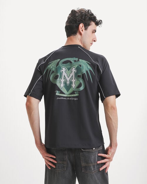 Playera Dise&ntilde;o Harry Potter