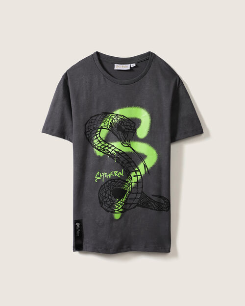 Playera Diseño Harry Potter