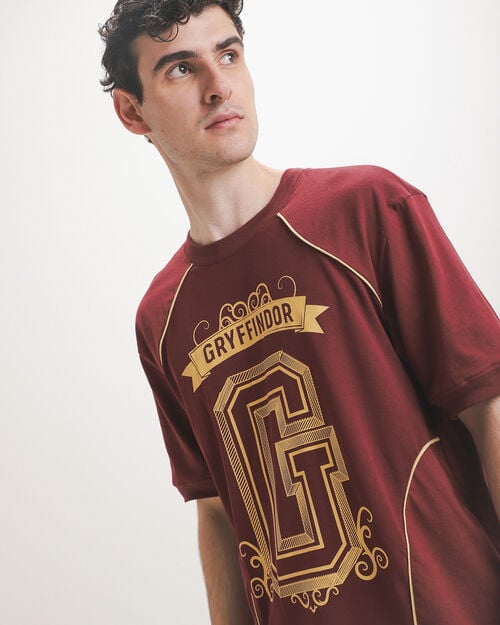 Playera Harry Potter