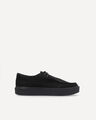 Zapato Caf&eacute; Gamuza,NEGRO