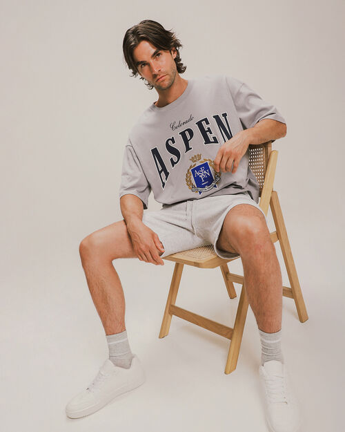 Playera Boxy Gris Con Aplicación