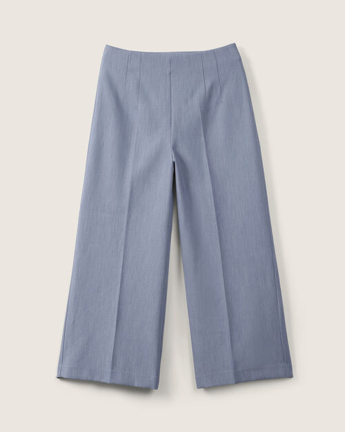 Pantal&oacute;n Pinzas Azul