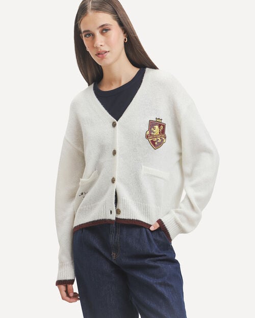 Su&eacute;ter Harry Potter