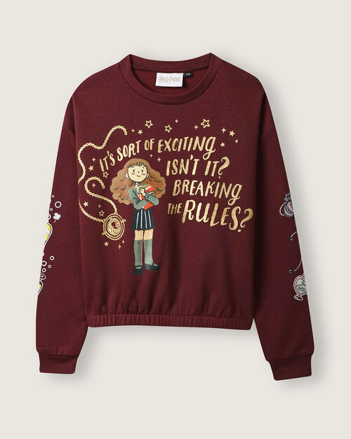 Sudadera Cerrada Harry Potter