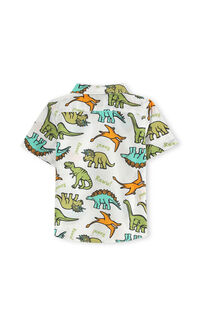 Camisa Estampado Dinosaurios