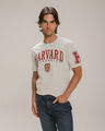Playera Yale University,GRIS CLARO
