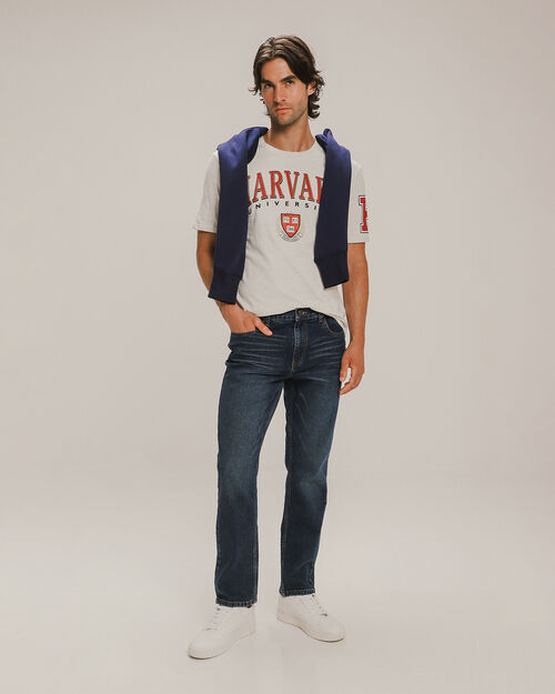 Playera Gris Harvard