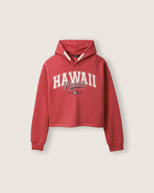 Sudadera Hoodie Estampada