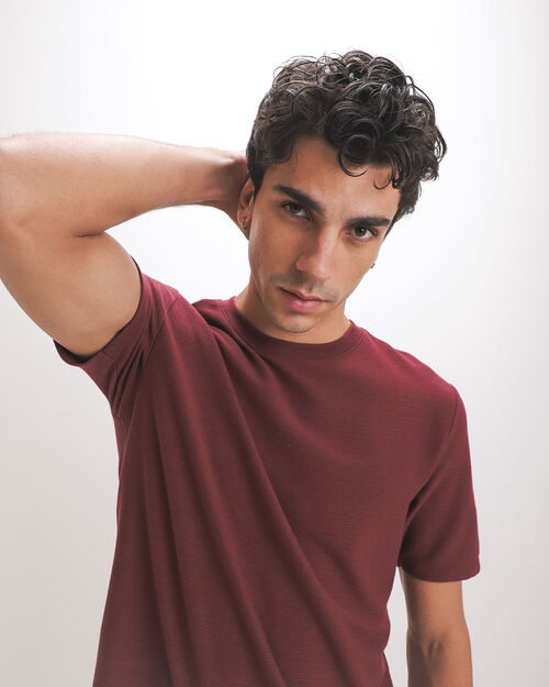 Playera B&aacute;sica Regular