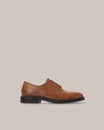 Zapato Café Formal,MARRÓN