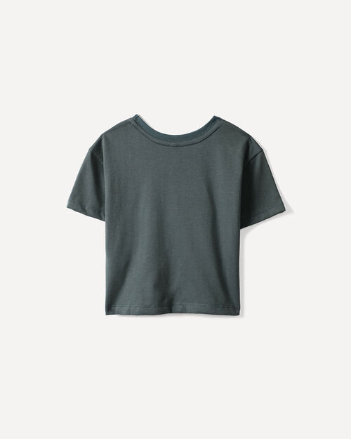 Playera Gr&aacute;fico Le&oacute;n