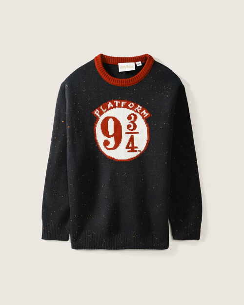Suéter Azul Harry Potter