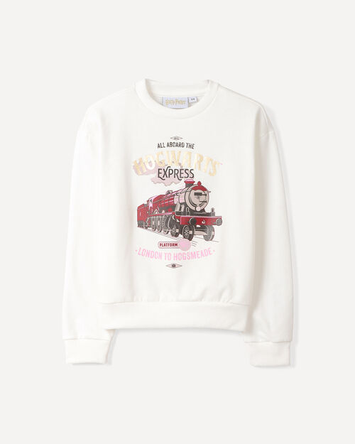 Sudadera Harry Potter