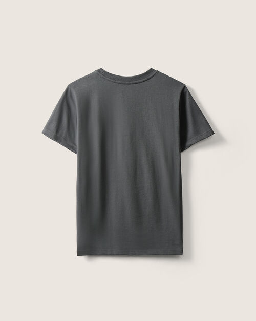 Playera Gris Demon Slayer