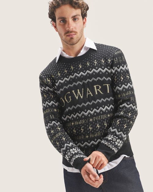 Suéter Navideño Harry Potter