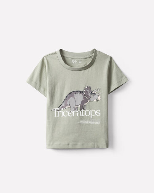 Playera Dise&ntilde;o Dinosaurio