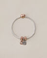Pulsera Charms Plateada,PLATEADO P2