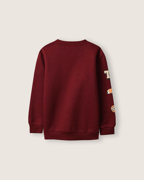 Sudadera Básica Cerrada