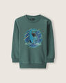 Sudadera Azul Estampada,VERDE EMPOLVADO