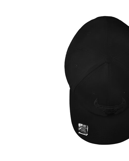 Gorra Visera Curva Chicago Bulls