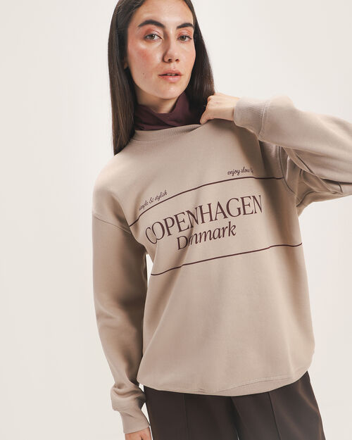 Sudadera Caf&eacute; Con Dise&ntilde;o