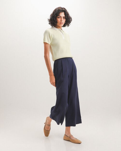 Pantal&oacute;n Azul Pinzas