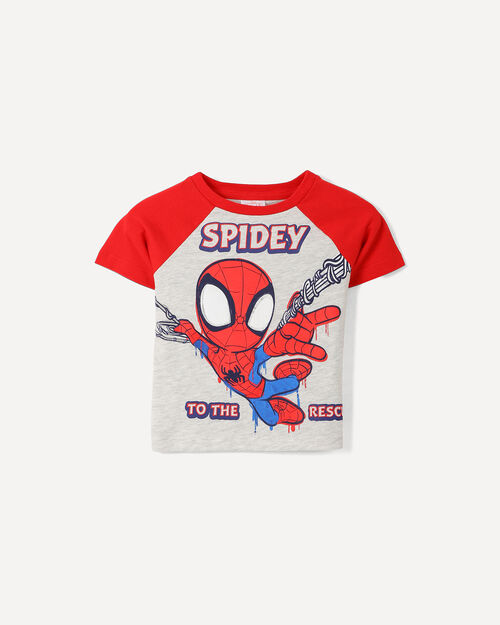 Conjunto Dise&ntilde;o Spider-Man