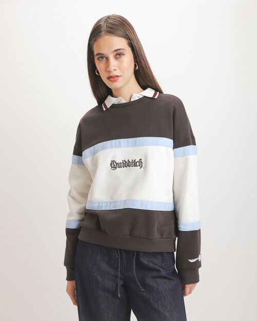 Sudadera Quidditch Hogwarts