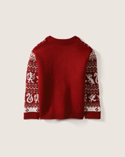 Suéter Tejido Harry Potter