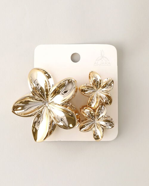 Set Pinzas Para Cabello