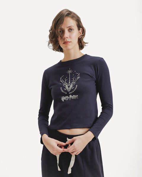 Top Harry Potter Azul