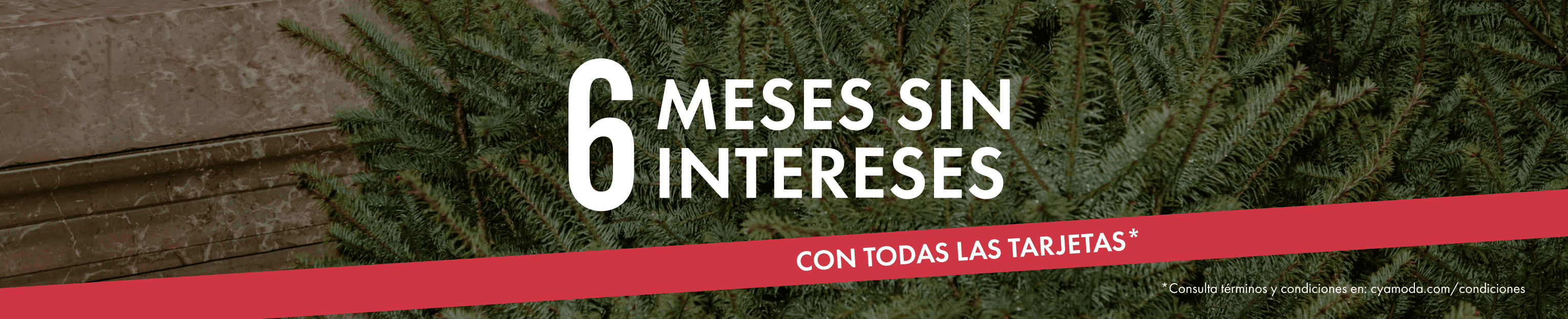 6MSI con todas las tarjetas en c&a